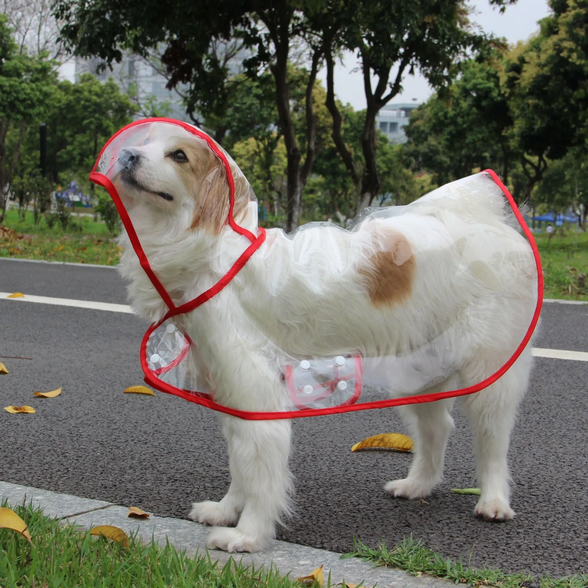 Clear Vinyl Pet Dog Raincoat